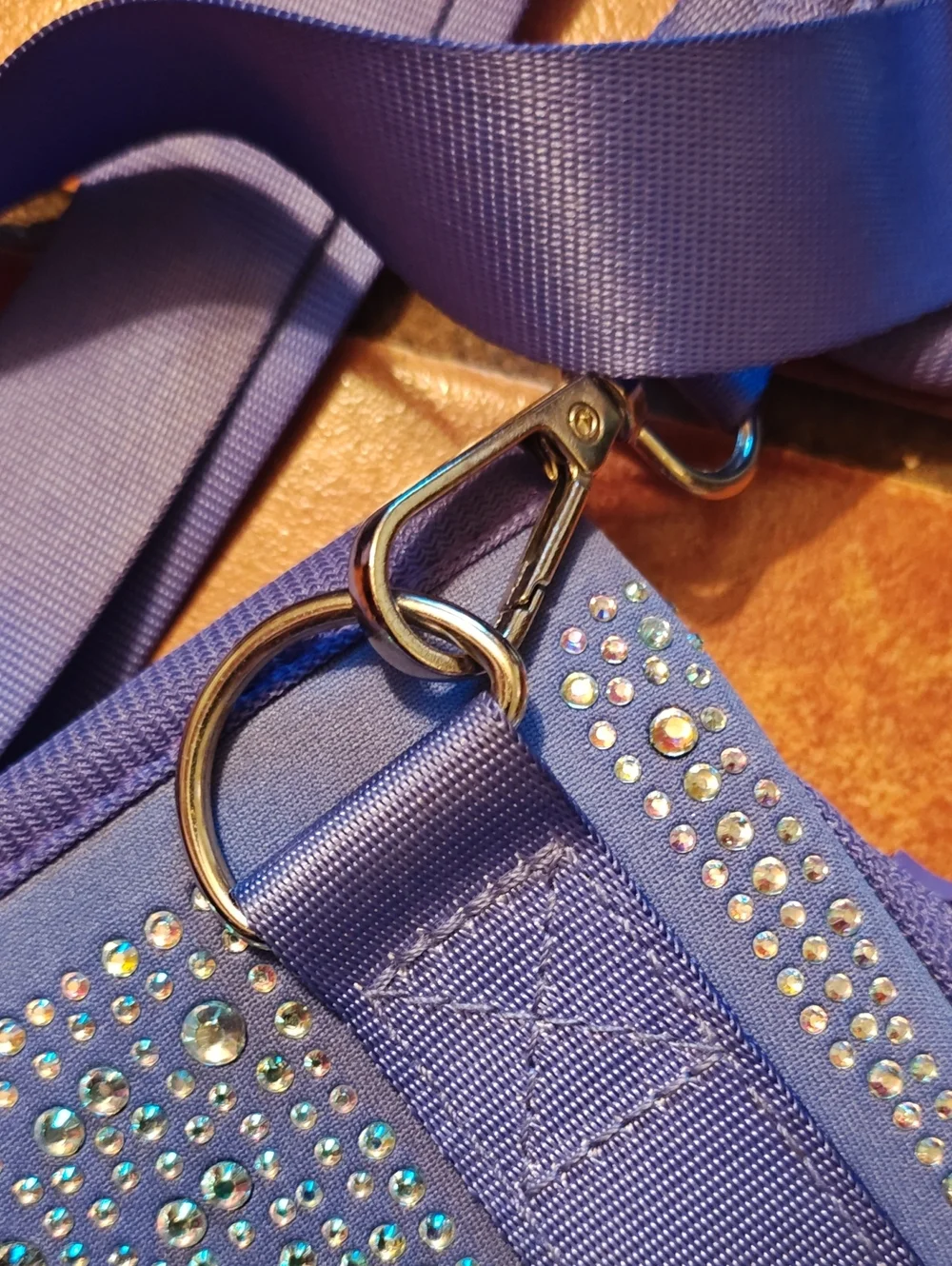 Blue Rhinestone Crossbody Phone Holster with Adjustable Strap